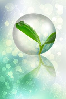 Young plant in the bubble over abstract background
