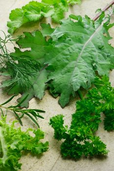 Red kale, rosemary, parsley, lettuce, dill,