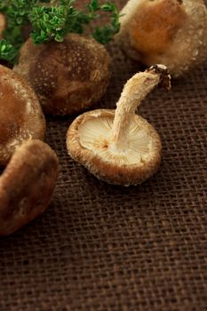 Shitake mushroom and thyme
