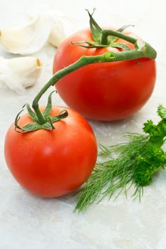 Italian ingredients - tomatoes and garlic, dill, and parsley