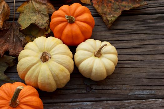 Autumn pumpkins with leaves  on wooden board