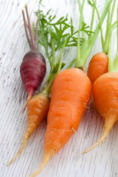 Organic garden carrots on white wood