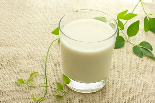 Glass of milk with green plant
