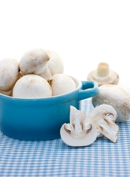 Mushrooms in the blue pot  on the blue gingham tablecloth