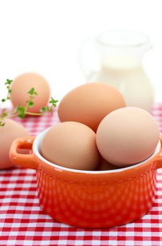 Fresh brown eggs with milk on red gingham checked tablecloth