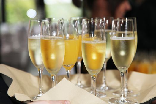 Flutes of chilled white champagne or sparkling wine being carried on a tray at a catered event or celebration