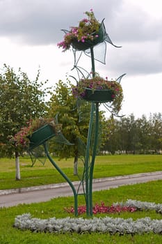 Interesting flowerbed with petunias on  lawn, in  sky, Russia.