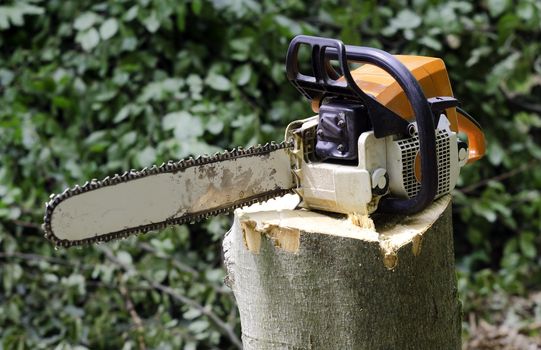 chainsaw placed on a tree stump