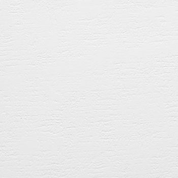 White paper texture or background.