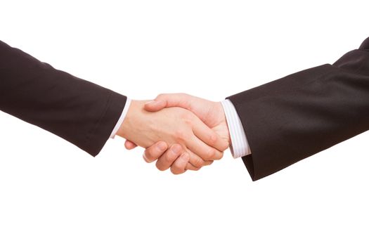 Closeup of a business hand shake between two colleagues