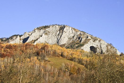View of Trasc�u Mountains in Transylvania
