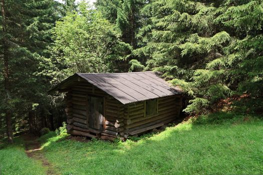 small barn on the forest in Italian Alps