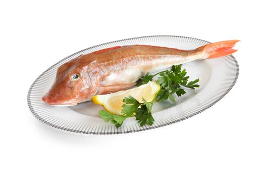 plate with tub gurnard, lemon and parsley isolated with clipping path
