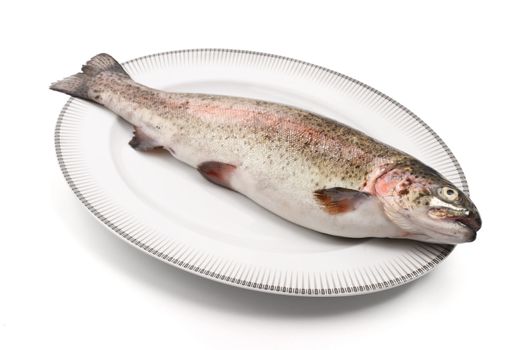 plate with rainbow trout over white background