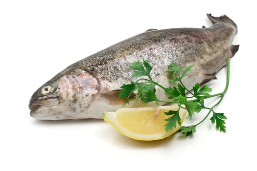 one rainbow trout with lemon and parsley over white background
