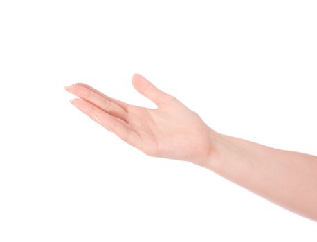Empty open male hand on white background