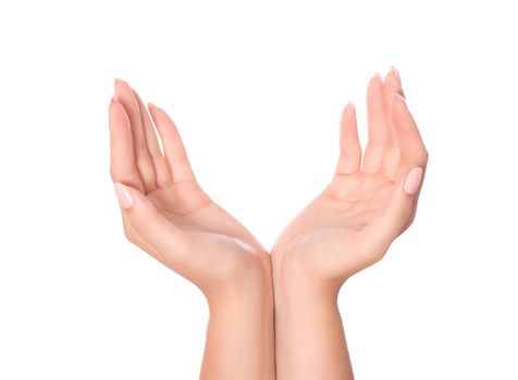 Hand holding star isolated