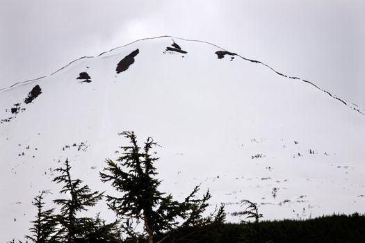 White Snow Mountain Tree Outlined against Sky, Seward Highway, Anchorage, Alaska
