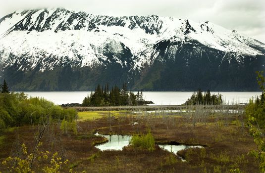 Snow Mountain Range Overview, Seward Highway, Anchorage, Alaska

