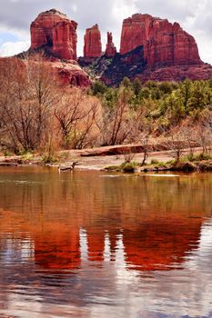 Cathedral Red Rock Canyon Oak Creek Green Trees Sedona Arizona