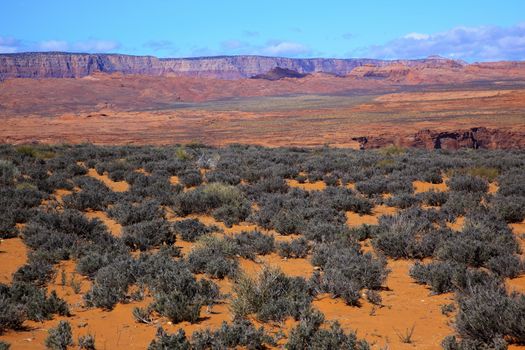 Orange Sand Painted Desert Green Sagebrush Colorful Red Colorful Vermillion Cliffs Glen Canyon Page Arizona