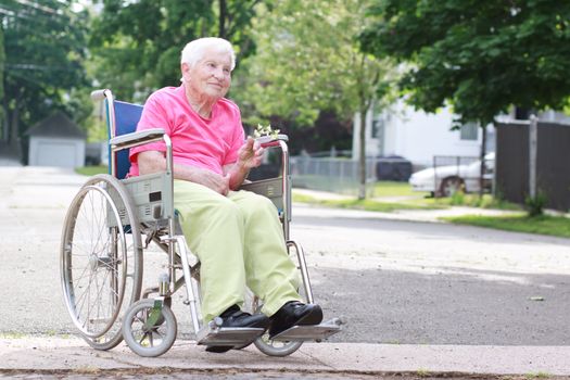 Senior Woman in a Wheelchair