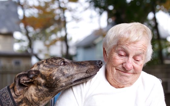 Senior lady with brindle greyhound in backyard