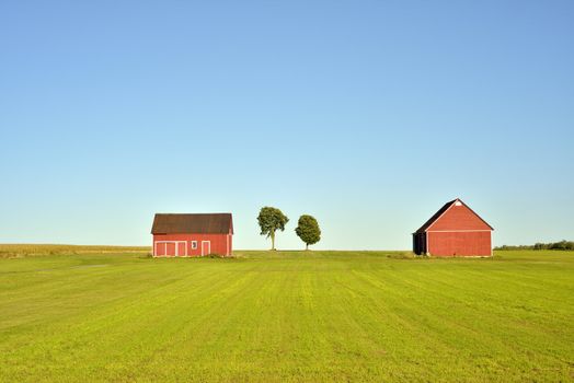 Two red barns and trees in a field on a sunny day