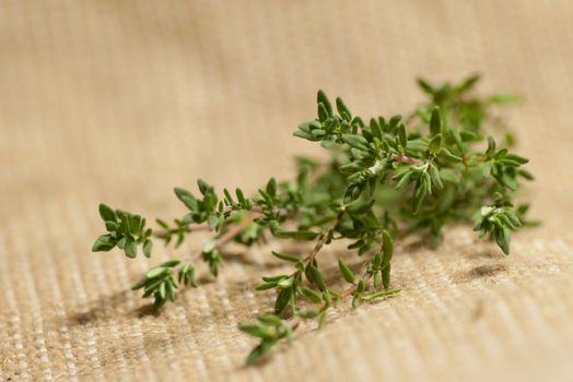 Thyme lying on sack background