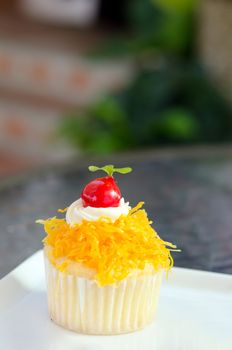 gold egg yolks thread cake, thai sweetmeat