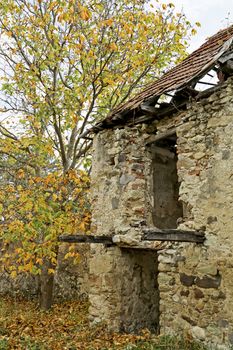 An abandoned ruinous building in the forest