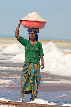 Sambhar, India - Nov 19: Woman carries bowl on head with salt in salt farm on Nov 19, 2012 in Sambhar Salt Lake, India. It is India's largest saline lake and where salt has been farmed for a thousand years. 