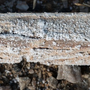 Covered by natural salt crystal wooden square log on salt farm on Sambhar Salt Lake, India, where salt has been farmed for a thousand years.