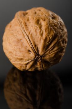Walnut on black background. Close-up view with selective focus on front.