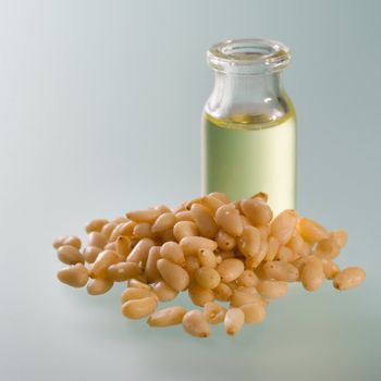 Open bottle of cedar oil and nuts on soft background