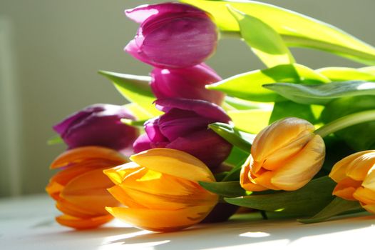 Beautiful mix of vivid tulips  