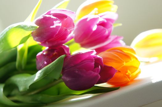 Beautiful bouquet of vivid multicolored tulips   