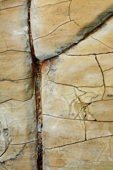 Closeup picture of a Carpathian sandstone texture.