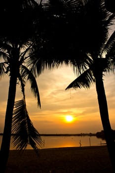 Silhouette of  two coconut tree and sunset on the beach