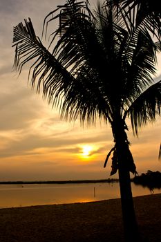 Silhouette of coconut tree and sunset on the beach