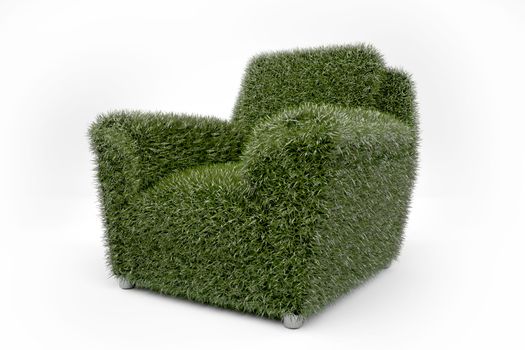 Grass grown on a chair