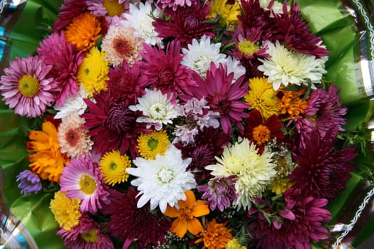 vivid varisorted multicolored flowers background