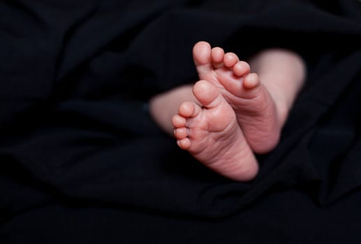 Baby legs. Legs newborn on a black background