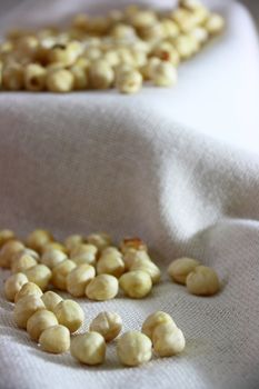 light bown fresh hazelnuts in group on natural cloth 