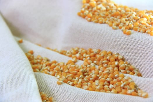 yellow sweet corns on natural cloth in group 