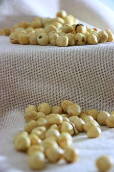 light bown fresh hazelnuts in group on natural cloth 