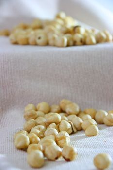 light bown fresh hazelnuts in group on natural cloth 