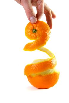 hand holding peel of orange on white backrgound