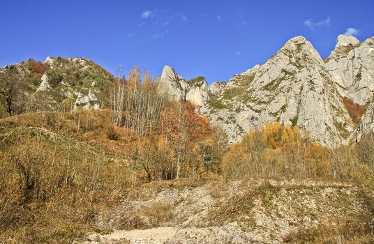 The limestone features of the Scarita Belioara reserve