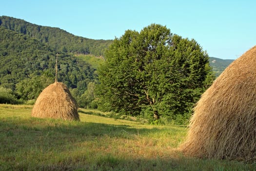 Beautiful scenery with two heaps of straw 